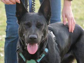 2024-09-10 00000265 Xena.jpg